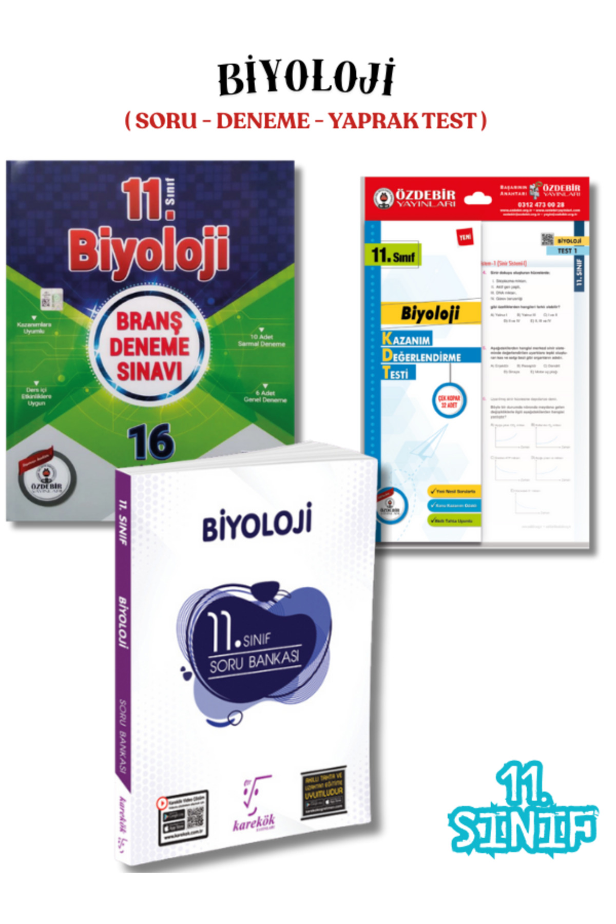 11.Sınıf Biyoloji 3'lü Soru Bankası,Deneme ve Yaprak Test Seti 11.Sınıf Biyoloji 3'lü Soru Bankası,Deneme ve Yaprak Test Seti