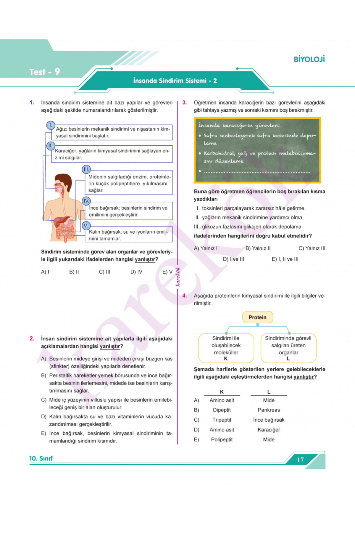 2025-2026 Müfredat Karekök 10. Sınıf Tüm Dersler Soru Bankası 7 Branş 2025-2026 Müfredat Karekök 10. Sınıf Tüm Dersler Soru Bankası 7 Branş
