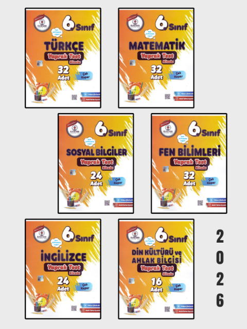 ÖZDEBİR YAYINEVİ Özdebir Yayınları 6.Sınıf Yaprak Test Seti 6 Ders